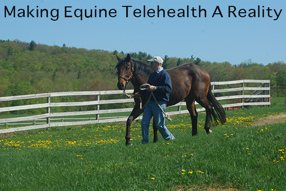 Making Equine Telehealth A Reality
